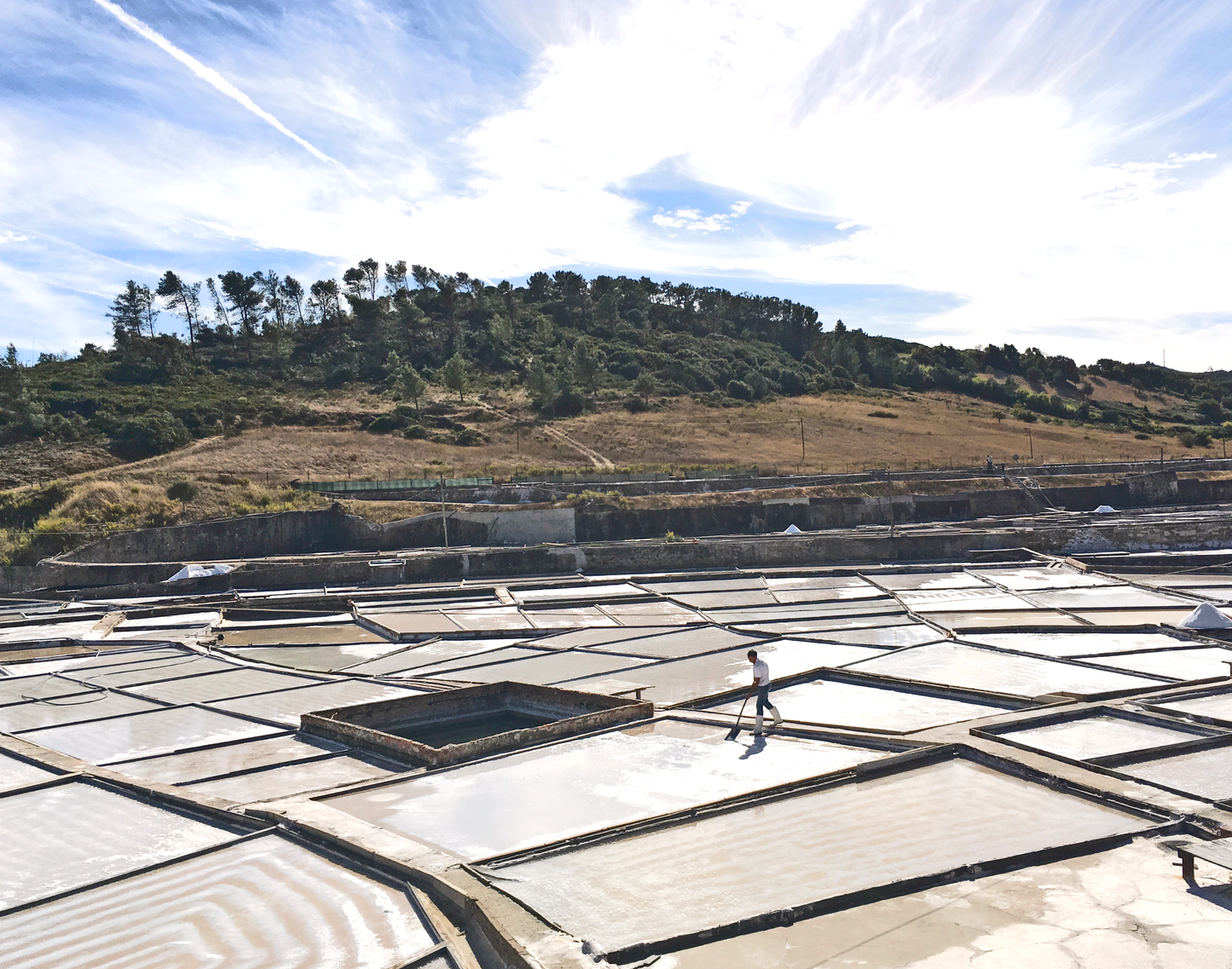 A person walks between large, rectangular Portuguese salt pans filled with water from Salt Flower | From Portugal by O Melhor do Ribatejo, set outdoors with a grassy hill and trees under a partly cloudy sky.