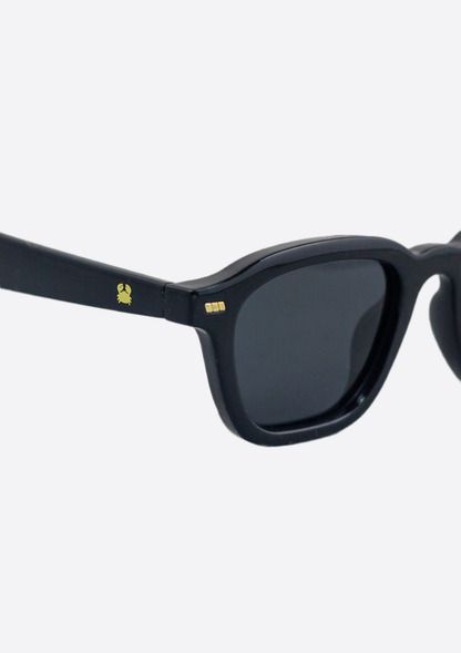 Oceanides Neda Shiny Black Sunglasses feature a black recycled plastic frame and polarized lenses, combining eco-friendly materials with stylish eye protection.