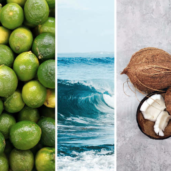 Image of Limes Ocean and Coconuts for Comporta Daylight home spray 