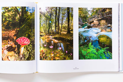 Enchanted Portugal (Portugal Encantado) | Print Books | Iberica - Pretty things from Portugal