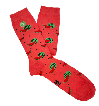 pair of watermelon socks in red and green